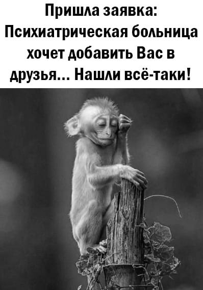 Юмор из интернета 615 Юмор из интернета 615 позитив,смех,улыбки,юмор