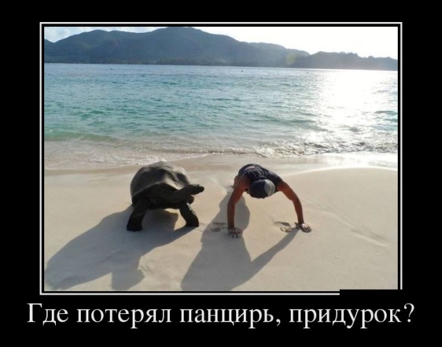 Демотиваторы 