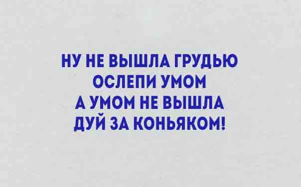 Уморительные стишки о жизни. Все как есть! 