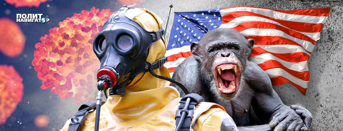 Закавказский биологический фронт: лаборатории США подбираются все ближе к России