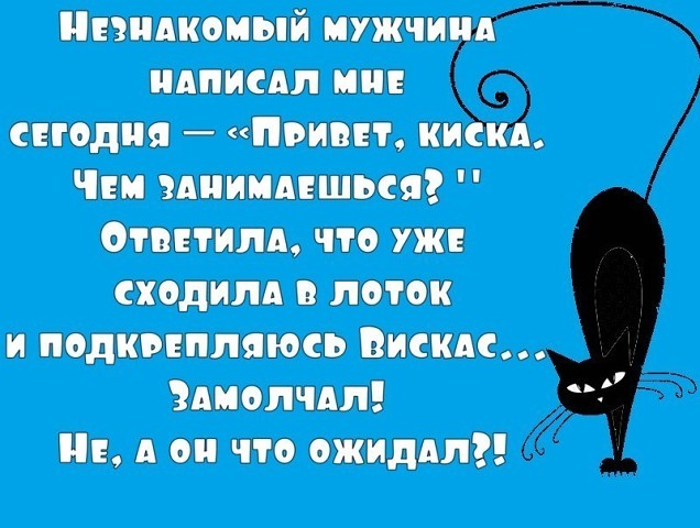 - Твой муж выглядит умнейшим человеком. Я полагаю, он знает все… весёлые