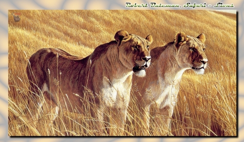 Художник Роберт Бейтман | Robert Bateman (363 работ)