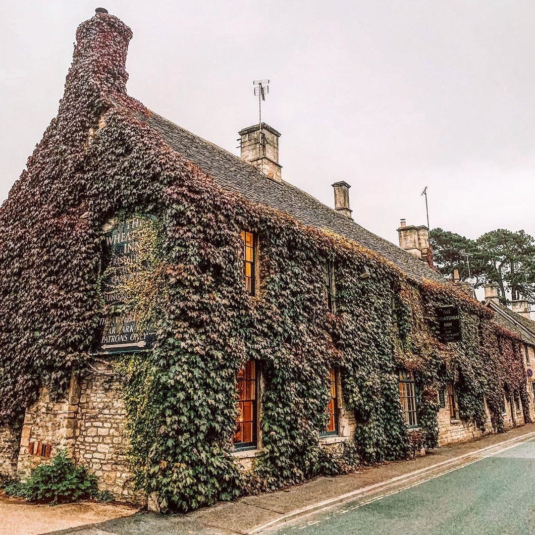 Вот так засосало... О домах, поглощённых плющом 