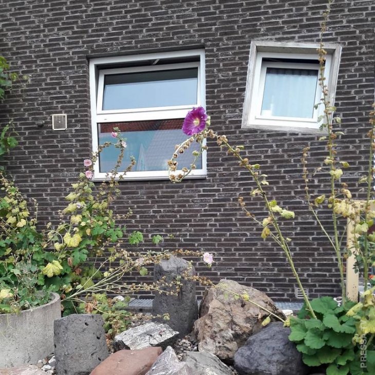 Когда за дело берутся Когда за дело берутся