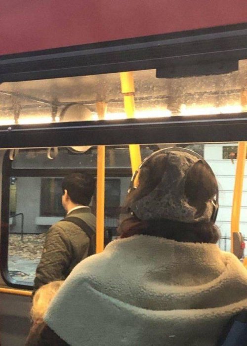 Чудаки вокруг нас