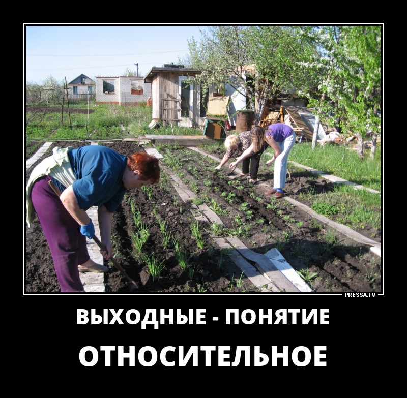 Смешные и веселые жизненные демотиваторы Смешные и веселые жизненные демотиваторы