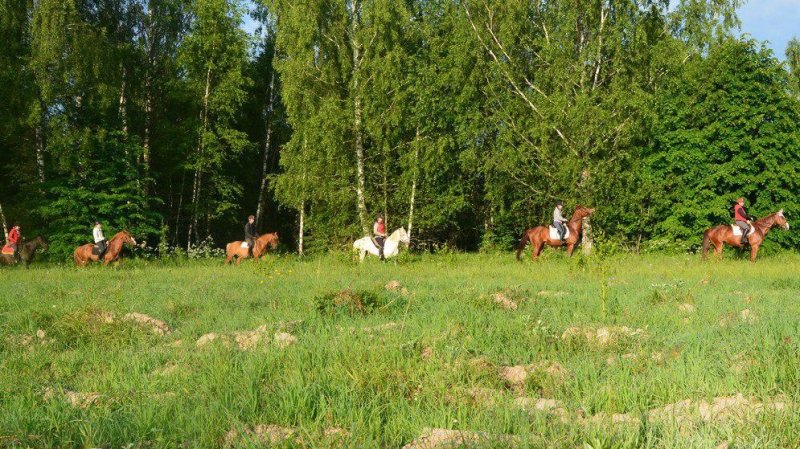 Тренер-берейтор из Тверской области организует конно-туристические смены для детей