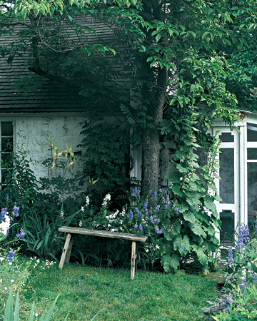 wild-garden-inspiration-liana2.jpg wild-garden-inspiration-liana2.jpg