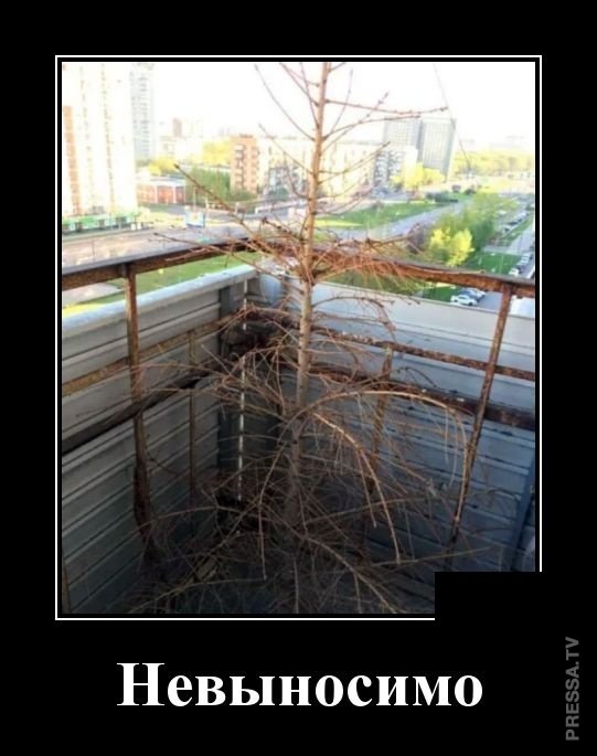 Смешные и веселые жизненные демотиваторы Смешные и веселые жизненные демотиваторы