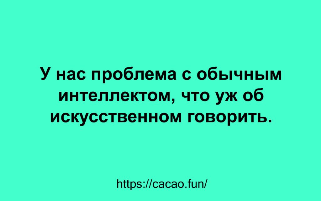 Задорные жизненные цитаты с нотками юмора Задорные жизненные цитаты с нотками юмора