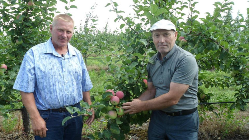 Погода в долгоруково на неделю. Долгоруково (Липецкая область).