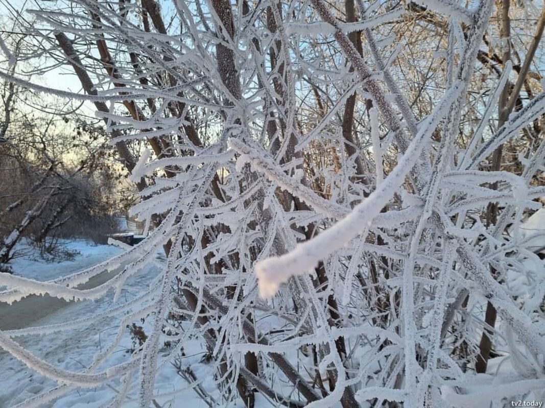 Сибирский на 10 дней