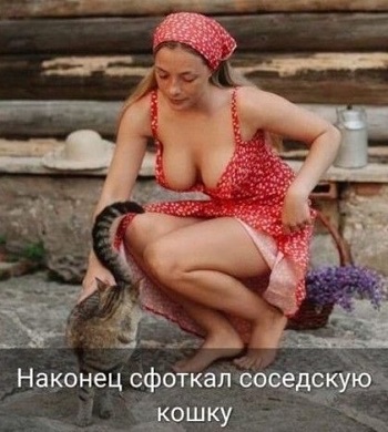 Когда Робин Гуд женился, то не всё, что он забирал у богатых, стало доставаться бедным Когда Робин Гуд женился, то не всё, что он забирал у богатых, стало доставаться бедным когда, значит, чтобы, потому, домой, будет, начать, сколько, сказал, Потому, может, нужно, время, только, человек, рядом, счастье, связи, интимной, поцарапала