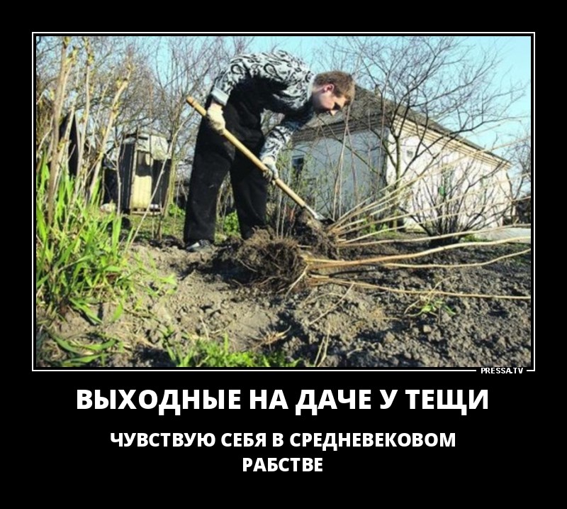 Смешные и веселые жизненные демотиваторы Смешные и веселые жизненные демотиваторы