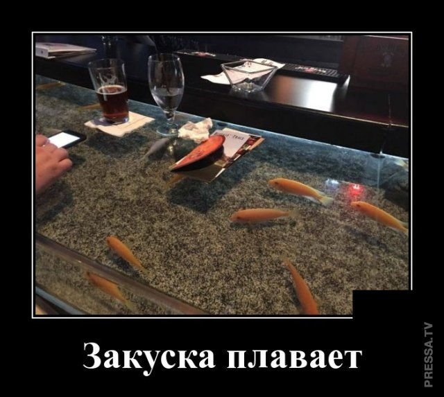 Смешные и веселые жизненные демотиваторы Смешные и веселые жизненные демотиваторы