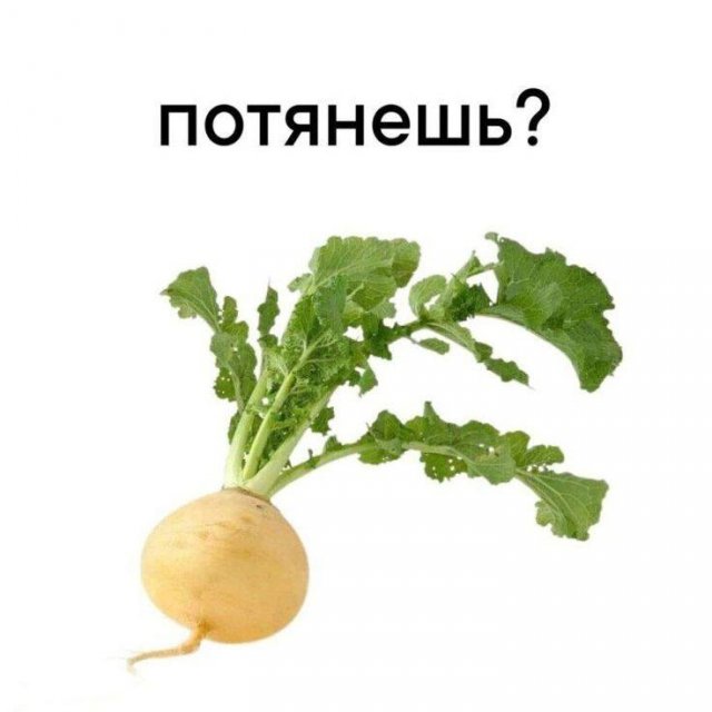 Интернет мемы в субботу и малина 