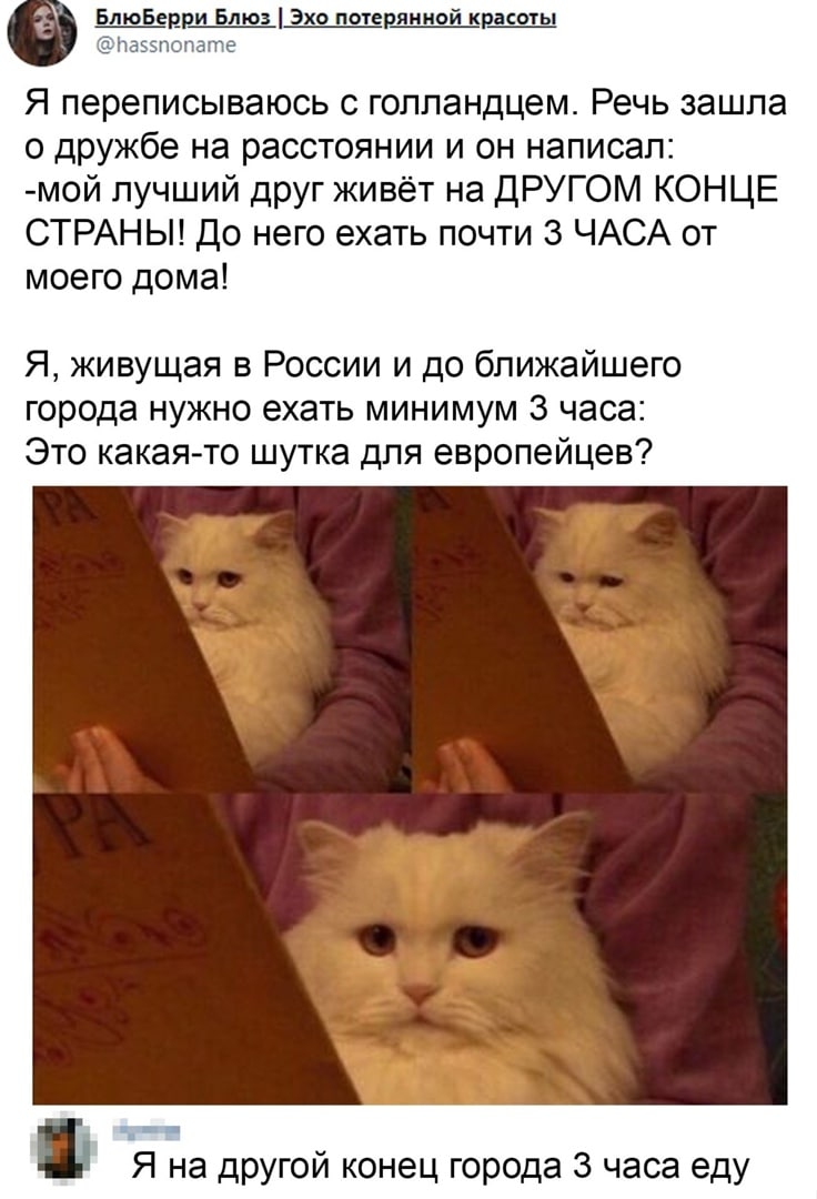 - Я ему говорю… говорю…, а он, как глухой!... свидание, встретились, место, нафиг, лотоса, какая, говорю…, глухой, спрашивает, хорошо, Парень, возвращается, окажется, тренировка, девушка, делать, часов, посмотрю, страшная, такая