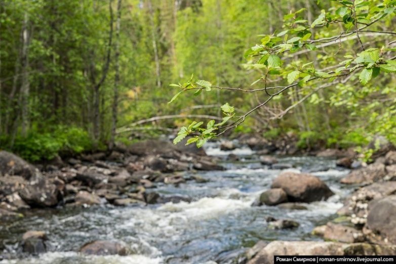 Северная сказка: заповедная Карелия Северная сказка: заповедная Карелия