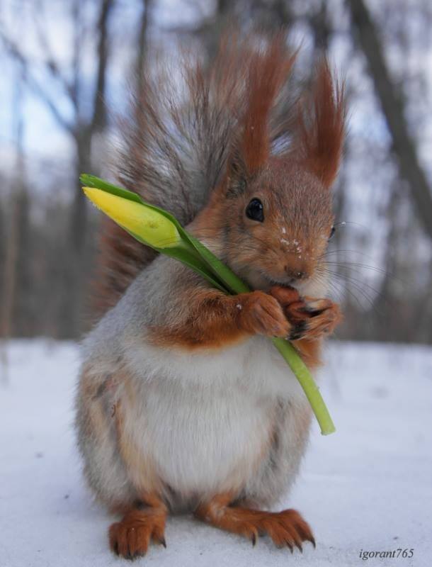 В семье жена отвечает за чистоту, - а муж за частоту веселые картинки