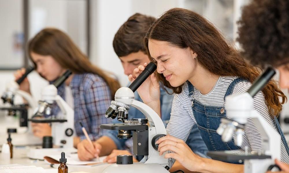 ЕГЭ по химии-2026: что изменилось, за что отнимают баллы и как подготовиться к экзамену