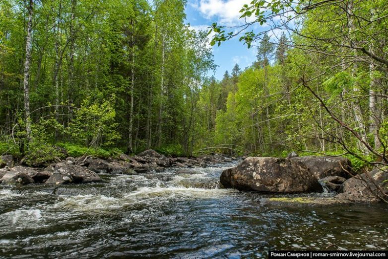 Северная сказка: заповедная Карелия Северная сказка: заповедная Карелия