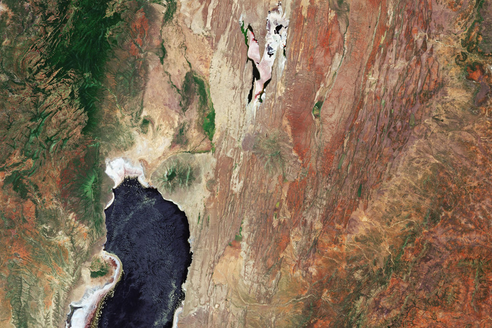 Озеро Магади (сверху) и озеро Натрон Фото: ESA