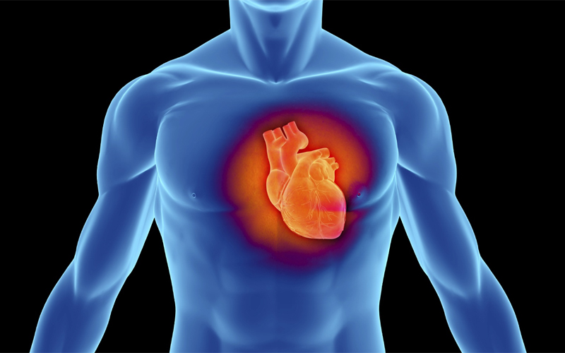 Как прокачать сердце и обезопасить себя от инфаркта