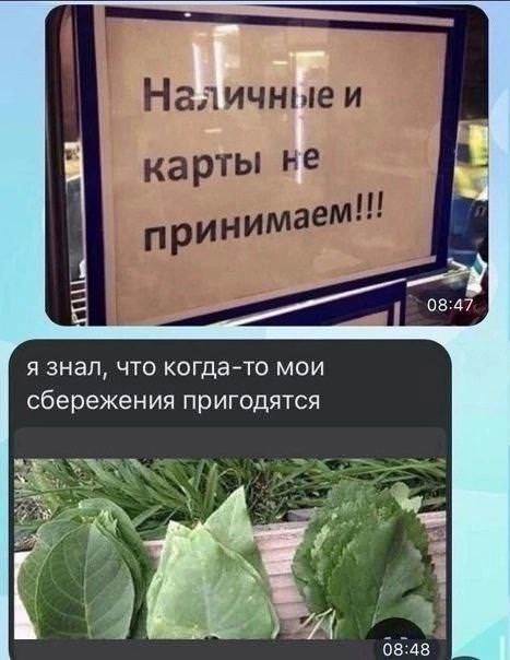 Смешные картинки в субботу и Домовенок Кузя 