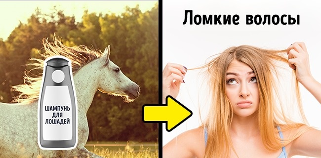 женские, советы, опасные советы, интернет