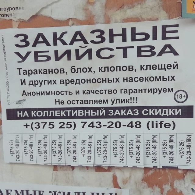 Странные и забавные объявления с наших просторов