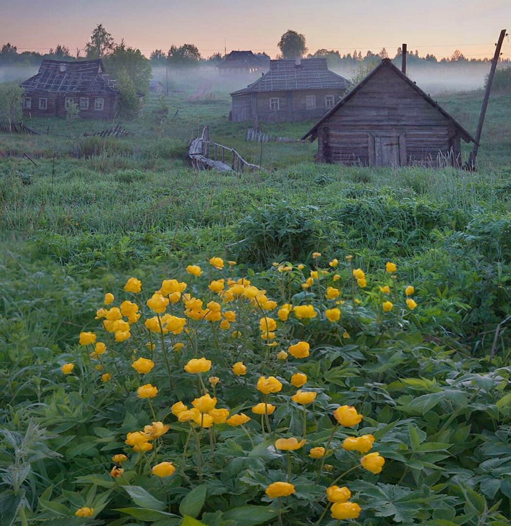 Таких пейзажей вы давно не видели.