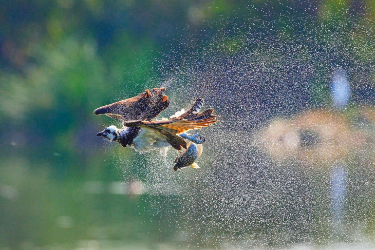 Конкурс фотографий National Geographic Travel Photographer 2019 Конкурс фотографий National Geographic Travel Photographer 2019 Путешествия,фото