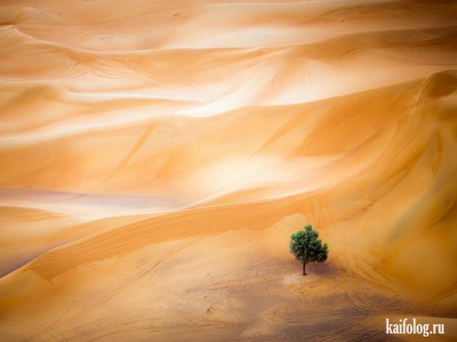   National Geographic 2015 (75 )
