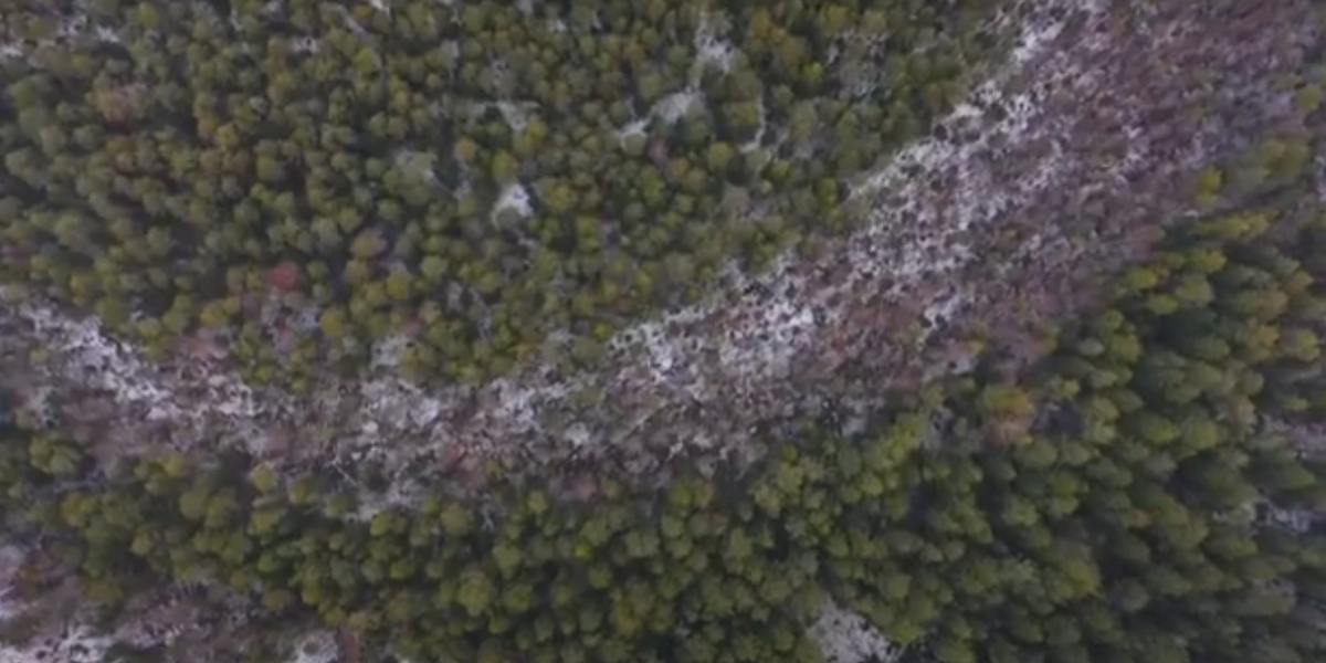 фото взято с ресурса Яндекс картинки