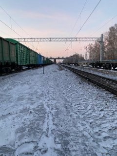 18-летнего парня насмерть сбил грузовой поезд на станции Бердск