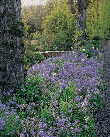 wild-garden-inspiration-flowers1.jpg wild-garden-inspiration-flowers1.jpg