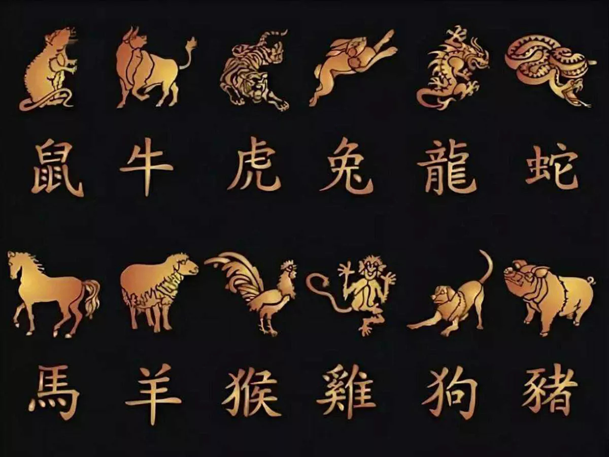 Знаки зодиака на китайском. Китайские символы. Китайские иероглифы животные. Знаки зодиака на японском иероглифы. Японские символы животных.
