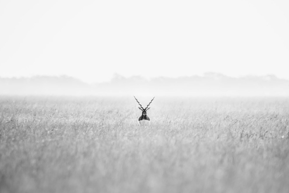 Конкурс фотографий National Geographic Travel Photographer 2019 Конкурс фотографий National Geographic Travel Photographer 2019 Путешествия,фото