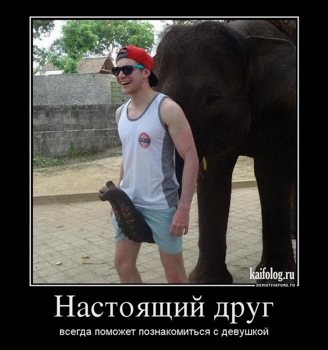 Ржачные и зачетные демотиваторы для поднятия настроения из нашей жизни (11 фото) Ржачные и зачетные демотиваторы для поднятия настроения из нашей жизни (11 фото)