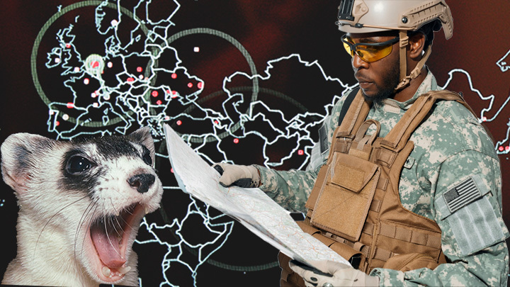 "ЯРОСТНЫЙ ХОРЁК": США НЕ МОГУТ ПРИДУМАТЬ НАЗВАНИЕ ДЛЯ СПЕЦОПЕРАЦИИ НА УКРАИНЕ