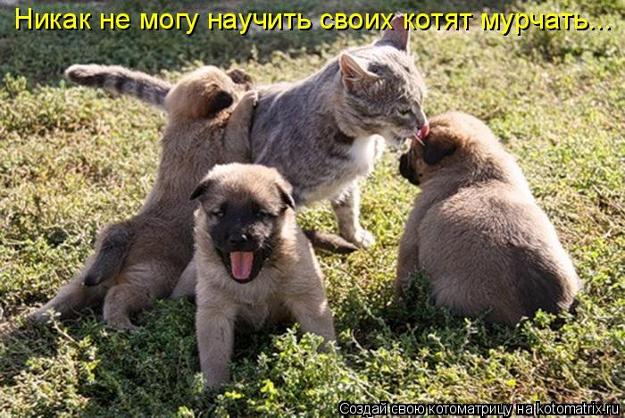 Мысли вслух :)