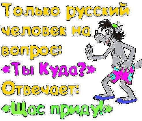 Чтобы вместо птицы счастья не прилетело чудо в перьях — не будь сам павлином анекдоты,веселые картинки,демотиваторы,приколы,юмор