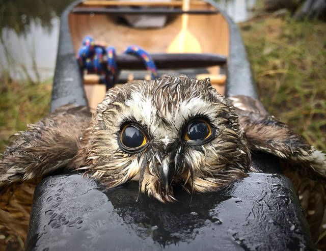 Красивые, красочные и прикольные фотографии из нашей жизни забавные фотографии приколы