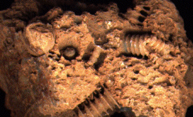 Шестеренки внутри камня. Ученые пытаются понять, как металл правильной формы попал внутрь древней породы Культура