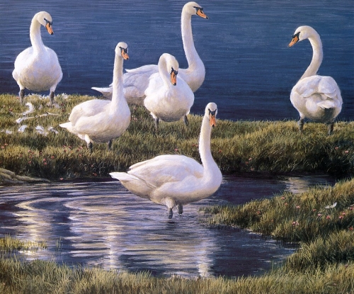Художник Роберт Бейтман | Robert Bateman (363 работ)