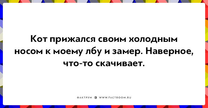 20 открыток о нелегкой жизни котов и их владельцев 20 открыток о нелегкой жизни котов и их владельцев
