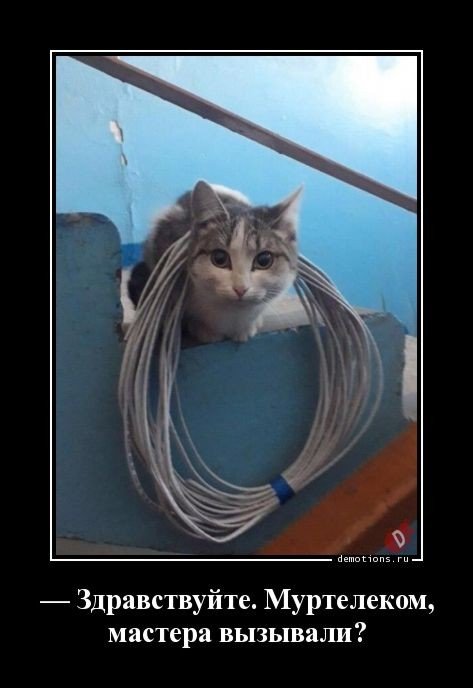 Прикольные демотиваторы для отличного настроения