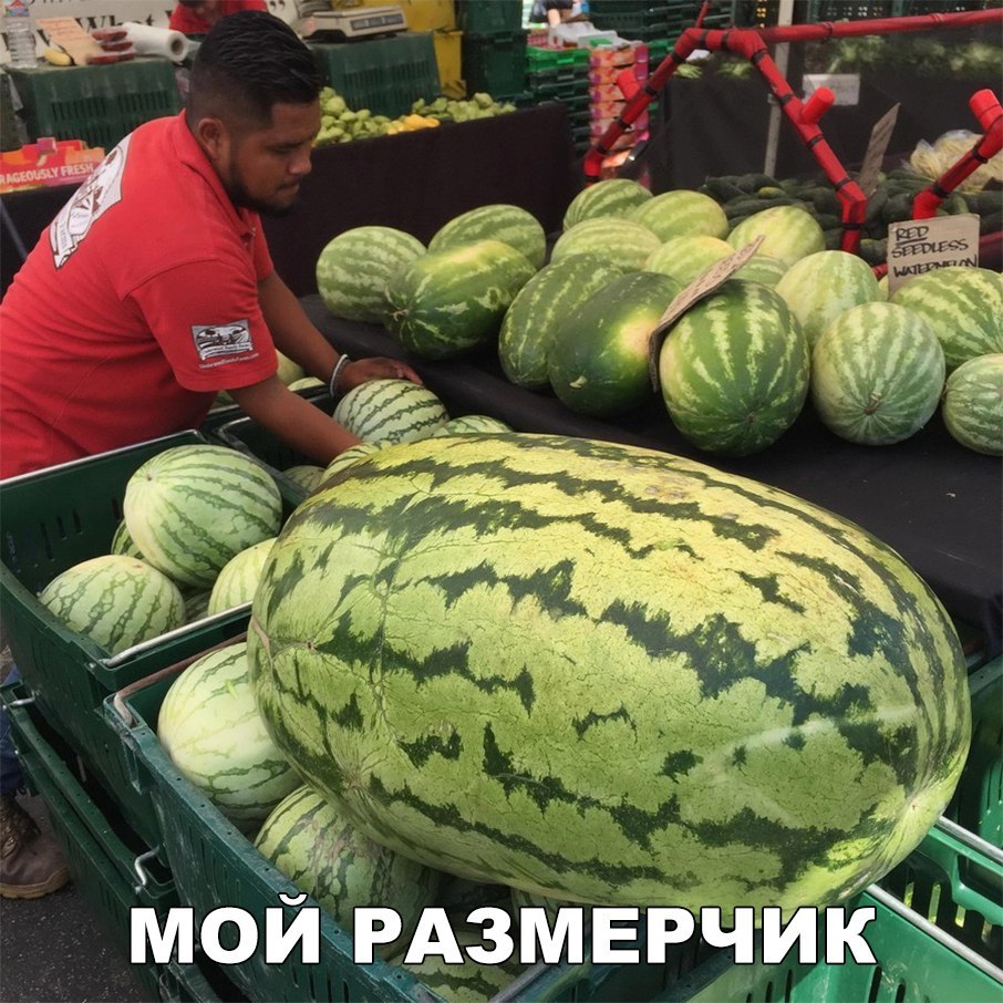 Прикольные и забавные фотографии с надписями для улыбки и позитива Прикольные и забавные фотографии с надписями для улыбки и позитива