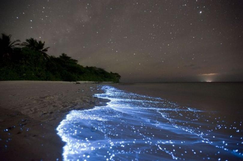 Биолюминесцентные волны на мальдивских пляжах (© Doug Perrine)