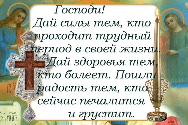 ТЫ УЗНАЕШЬ ЕЁ ИЗ ТЫСЯЧИ... Фарида, дежурство, много, детей, дикобраза, жалишь, Фариды, гнезда, артритом, слышу, своей, инфарктУвезли, приносили, сестрам, врачам, Отказаться, практически, невозможно, Зачем, обижаешь